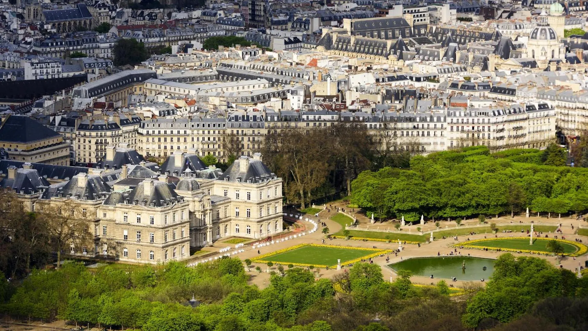 Spacious & Luxurious Apartment Paris